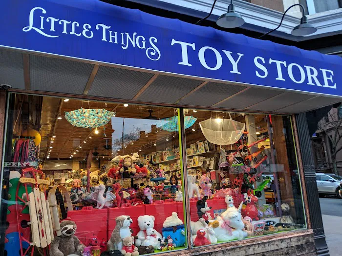 Little Things Toy Store 4