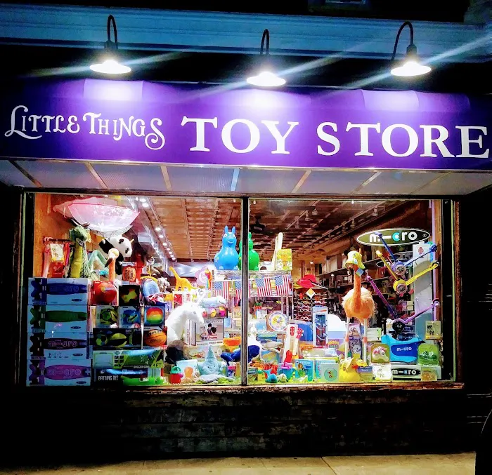 Little Things Toy Store 2