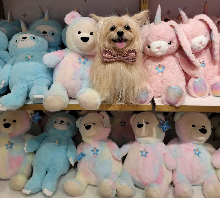 FAO Schwarz 8