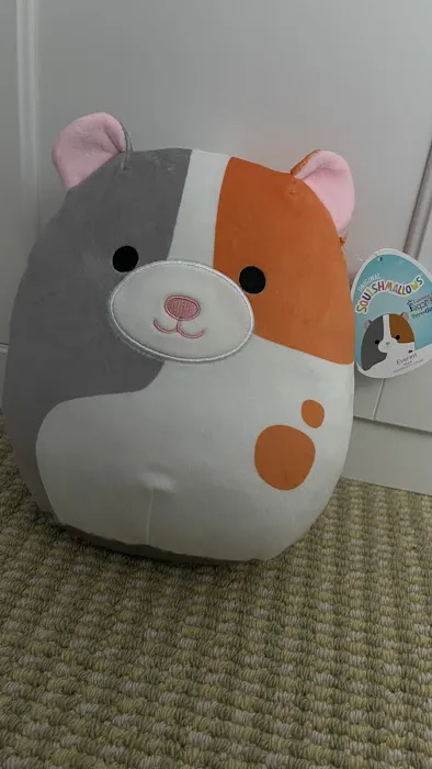 Learning Express Toys 8