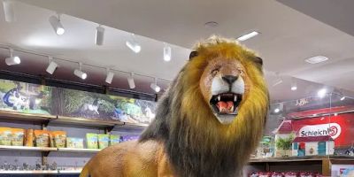 Build-A-Bear Workshop - FAO Schwarz