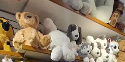 Mary Arnold Toys