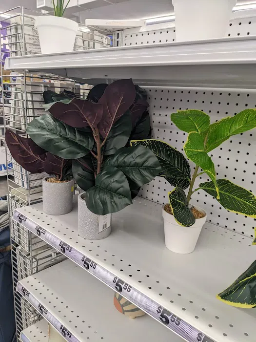 Five Below 7