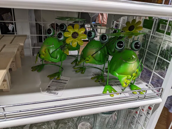 Daiso - Japanese Household Goods 3