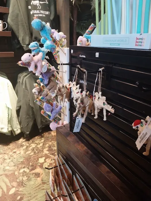 Dino Store 1