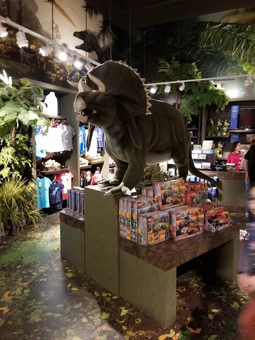 Dino Store 3