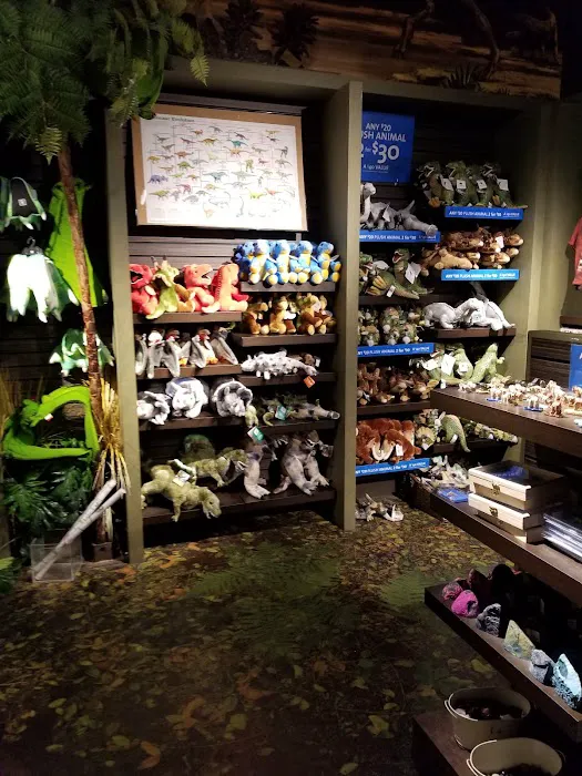 Dino Store 2