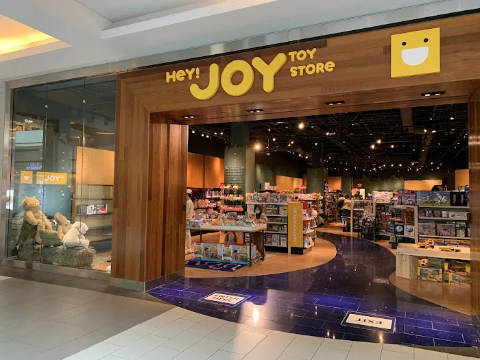 Hey Joy Toy Store 5