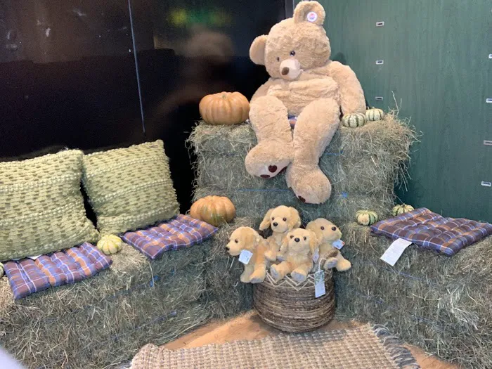 Hey Joy Toy Store 2