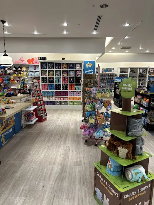 Toy Chest 4