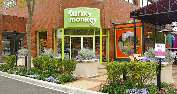 Funky Monkey Toys & Books 6