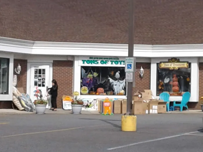 Tons Of Toys 0