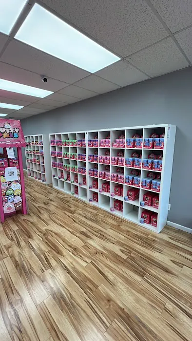 Fidgets Factory Toy Store 5