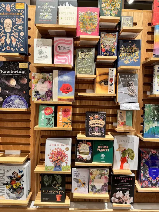 Barnes & Noble 7