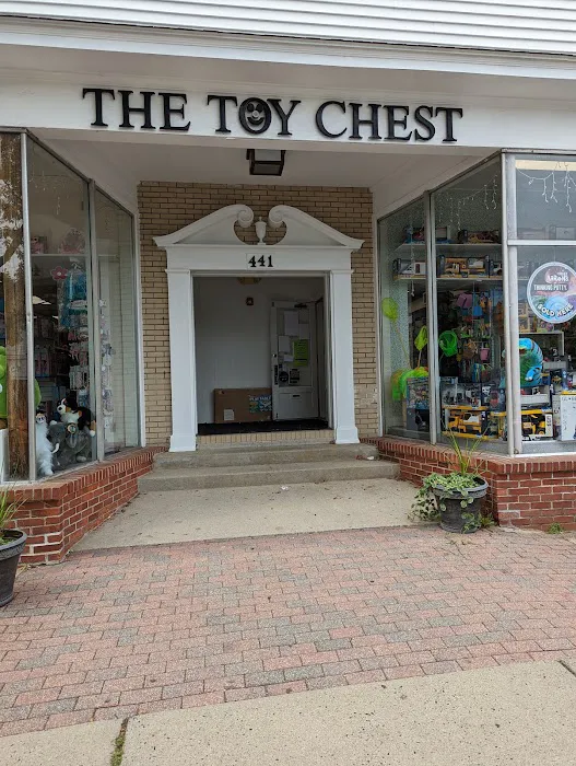 Toy Chest 9