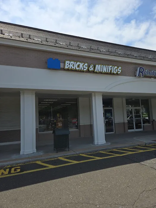 Bricks & Minifigs Fairfield 2