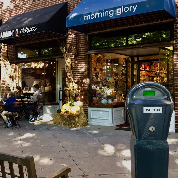 PRINCETON MORNING GLORY 8