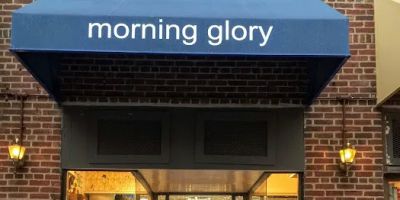 PRINCETON MORNING GLORY