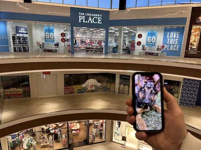 MINISO USA 2