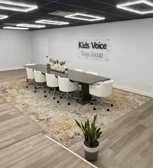 Kids Voice Toys Group 6