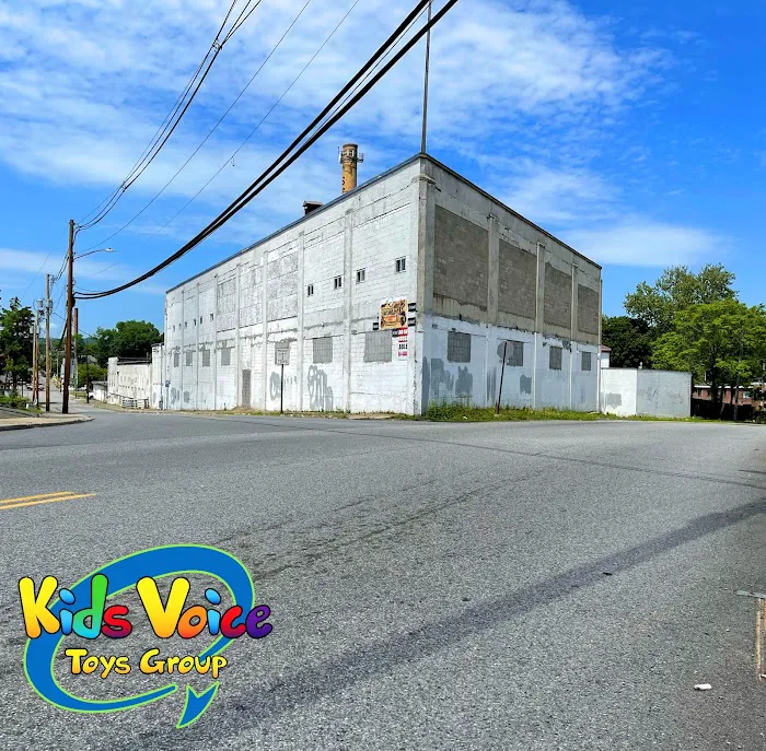 Kids Voice Toys Group 2