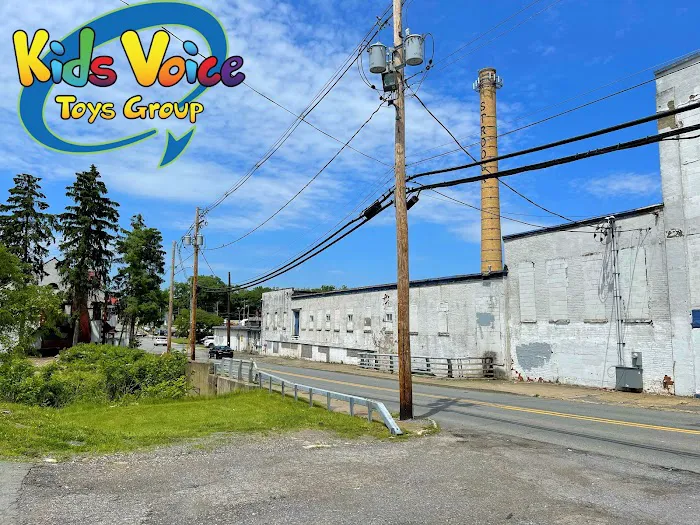 Kids Voice Toys Group 1