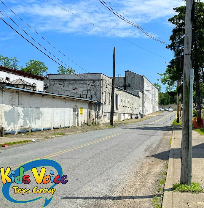 Kids Voice Toys Group 5