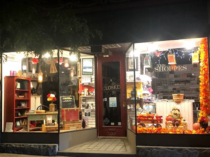 The Shoppes at Historic Palen's Drug Store 3