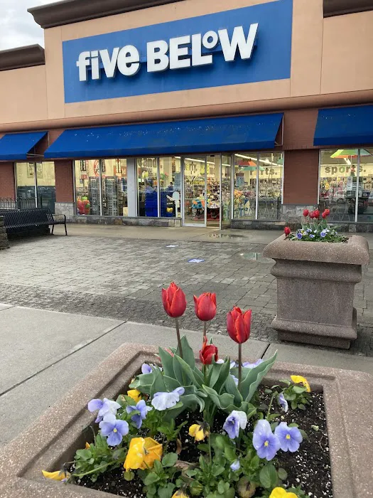 Five Below 7