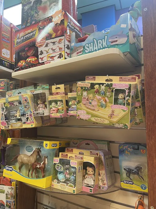 Big Fun Toys South 5