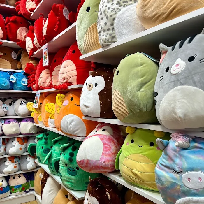 Learning Express Toys & Gifts of Newtown 2