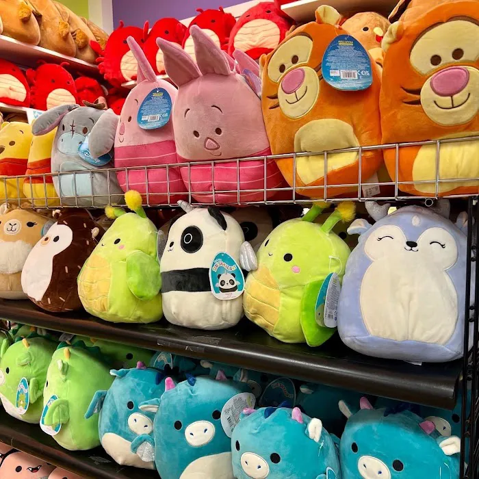 Learning Express Toys & Gifts of Newtown 1