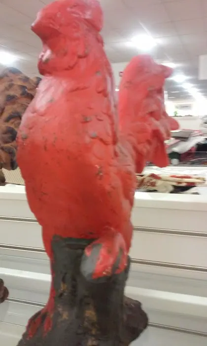 Five Below 0