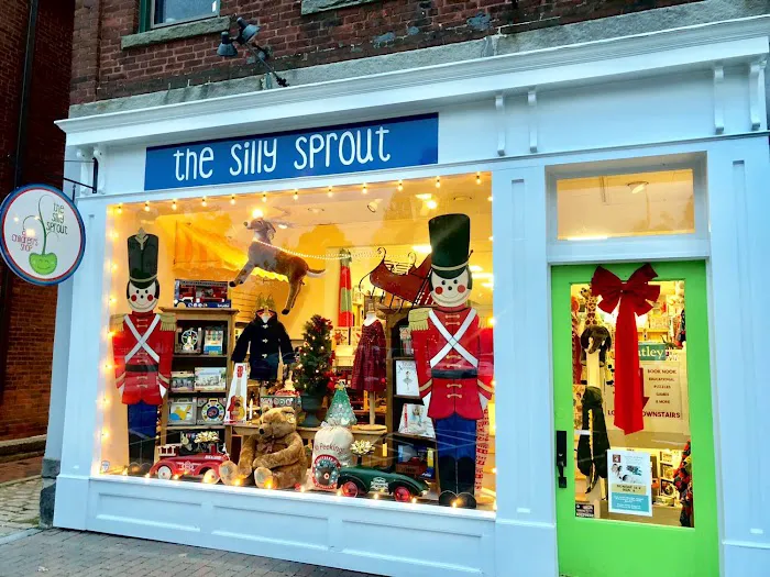 The Silly Sprout 7