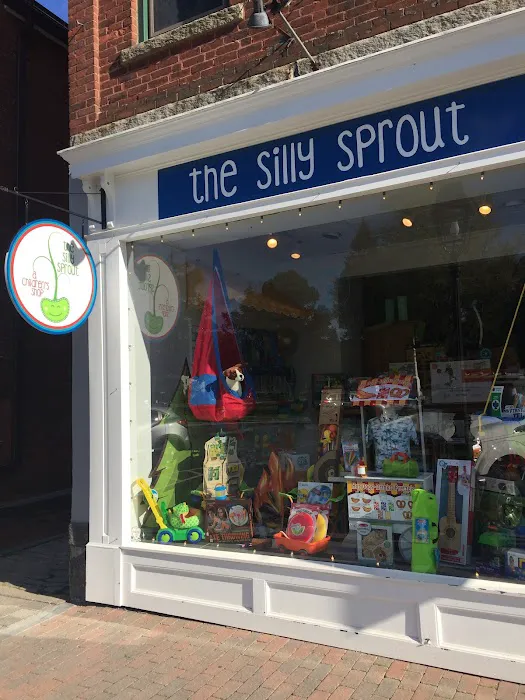 The Silly Sprout 1