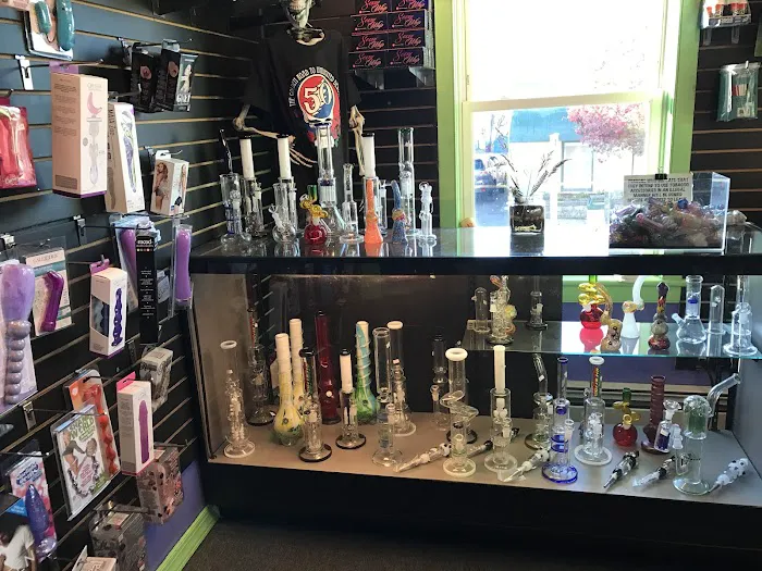 Heady Teddy's Outfitters 4
