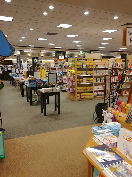 Barnes & Noble 7