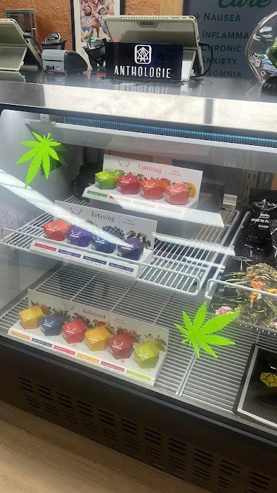 Mad Hatter Dispensary 0
