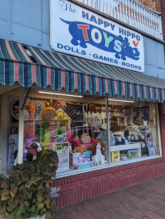 Happy Hippo Toys 9