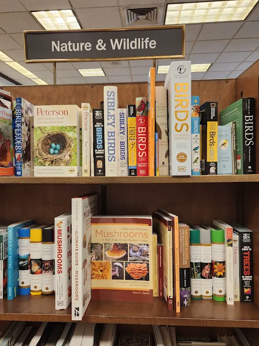 Barnes & Noble 2