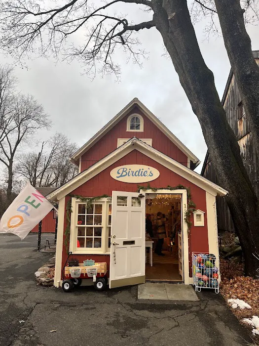 Birdie's 9