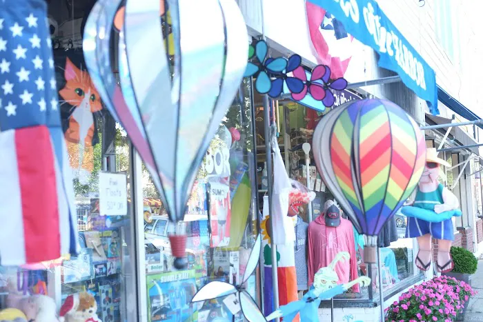 Kites of the Harbor 0