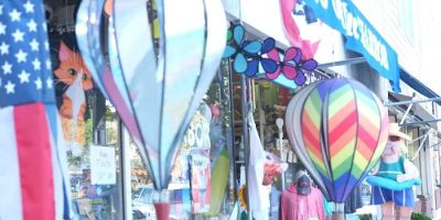 Kites of the Harbor