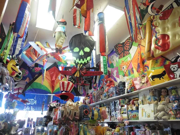 Kites of the Harbor 3