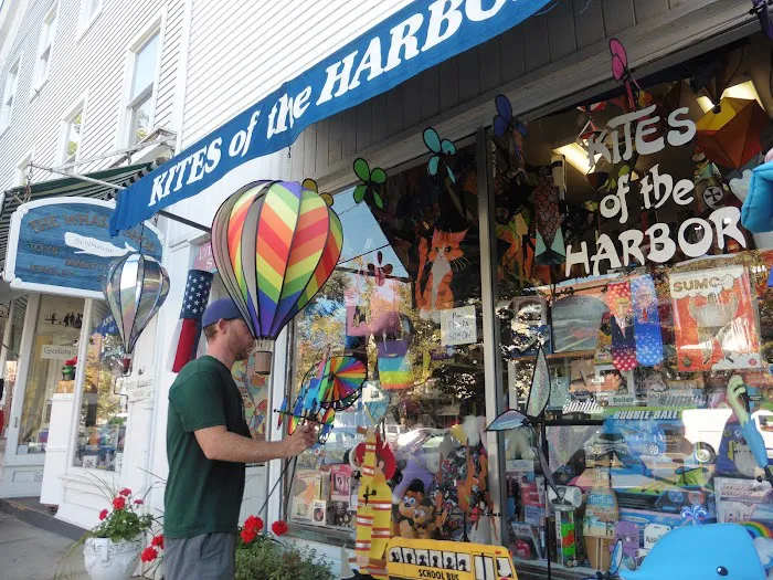 Kites of the Harbor 4