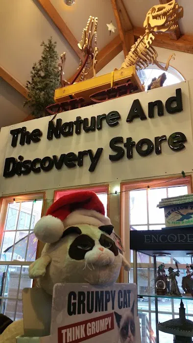 The Nature And Discovery Store,Inc. 1