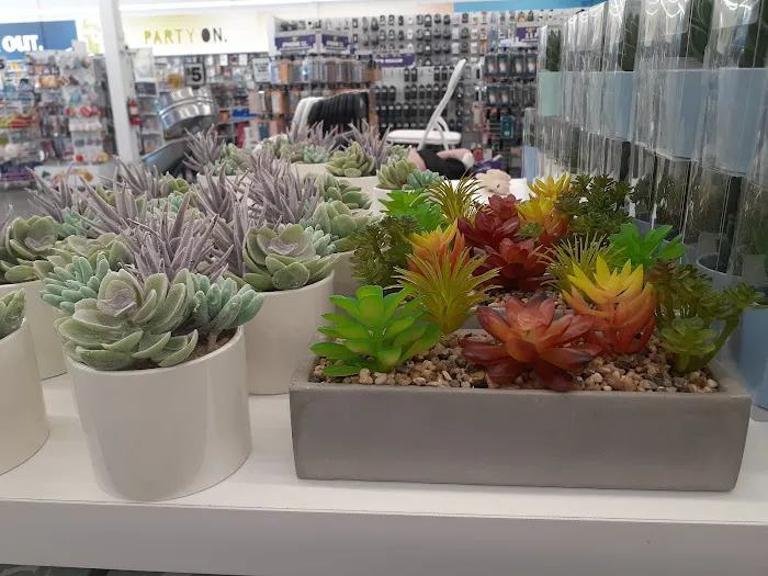 Five Below 4