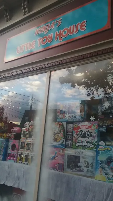 Ninja’s Little Toy House 1