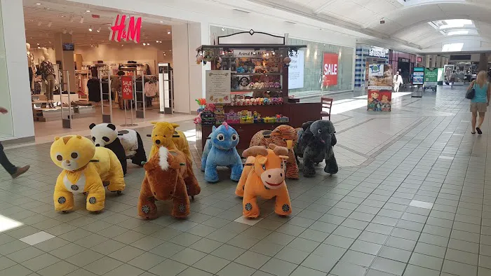 Animal Fun Rides 3