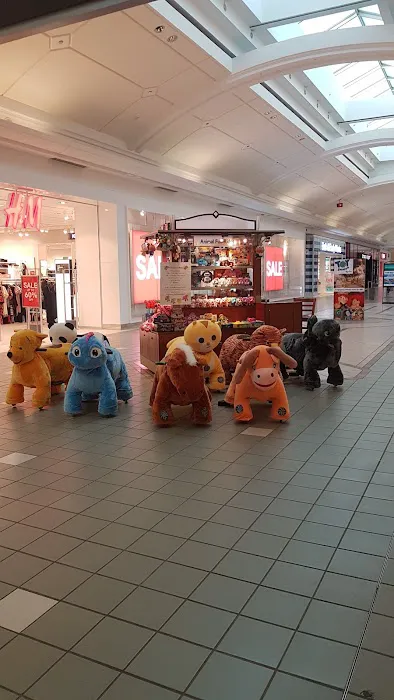 Animal Fun Rides 5
